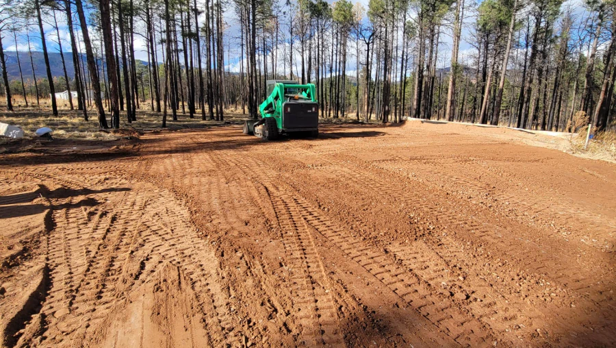 Land Clearing & Selective Thinning 2