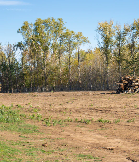 Land Clearing & Selective Thinning